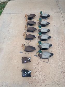 Decoy ducks