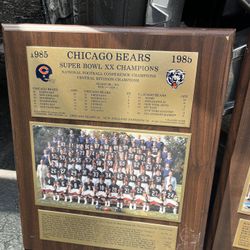 Chicago Bears