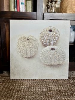 Shell Print Wall Art