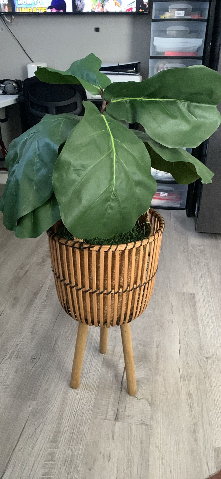 Artificial Plant And Holder