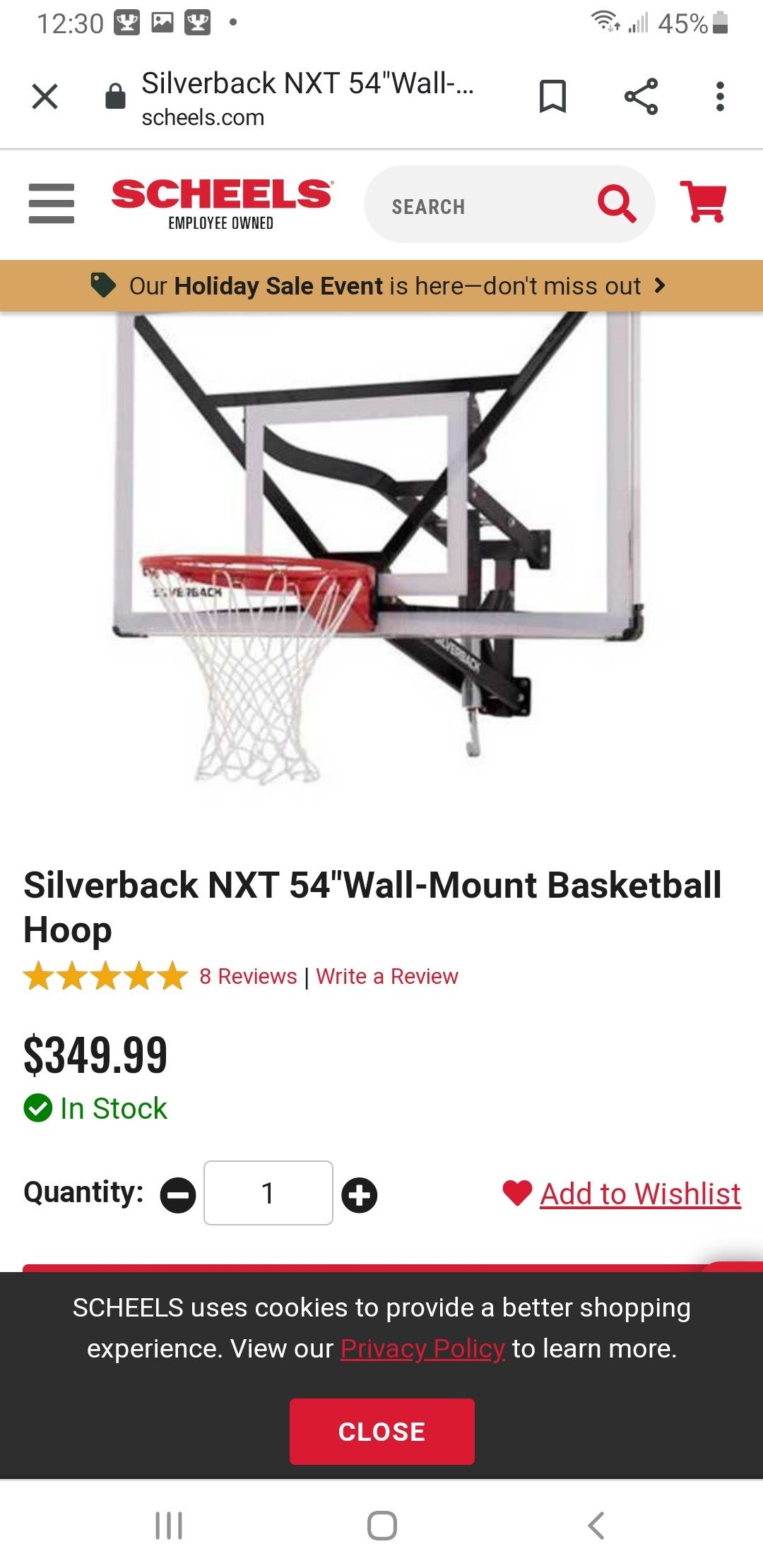 Basketball Hoop