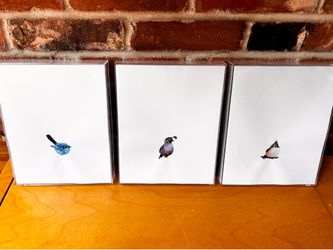 Set of Bird Prints (3)