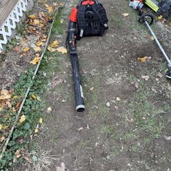 Echo Back Pack Blower 