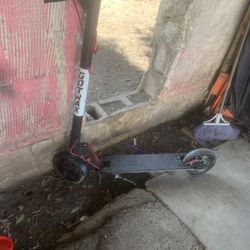 Gotrax Electric Scooter 