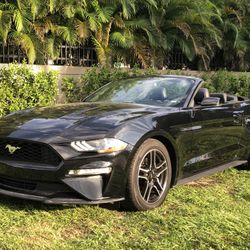 2020 Ford Mustang
