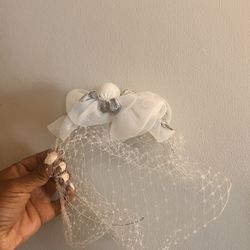 Birdcage Wedding Veil
