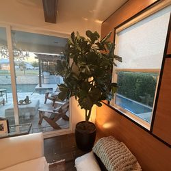 Artificial Fiddle Leaf Fig tree