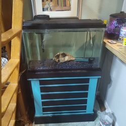 Fish Tank With Sand, Rocks, Stand, Filter And Fish