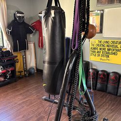 Punching bag, Stand & Double end bag