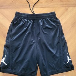 New Jordan Shorts 