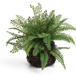 Artificial Boston Fern Plants Bushes Faux Plants Shrubs Greenery for House, Office, Garden, Inddor and Outdoor Decor (Standard)