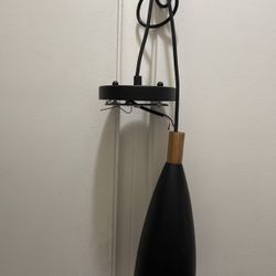 Black Hanging Lamp New