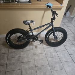 20 Inch Fat Tire Bike