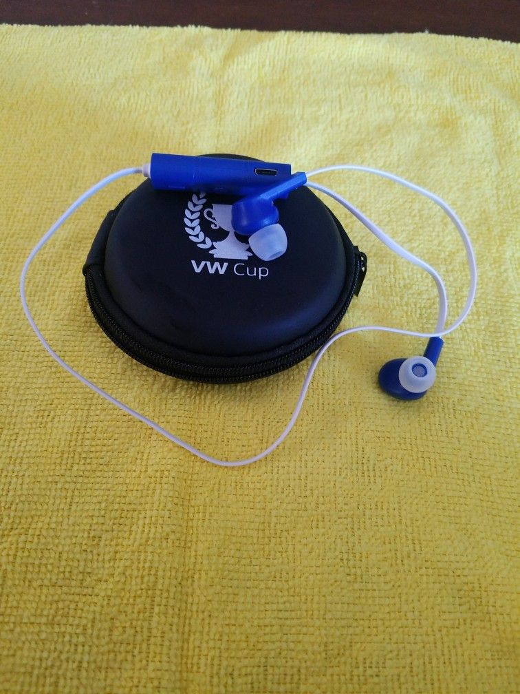 Bluetooth Earbuds 