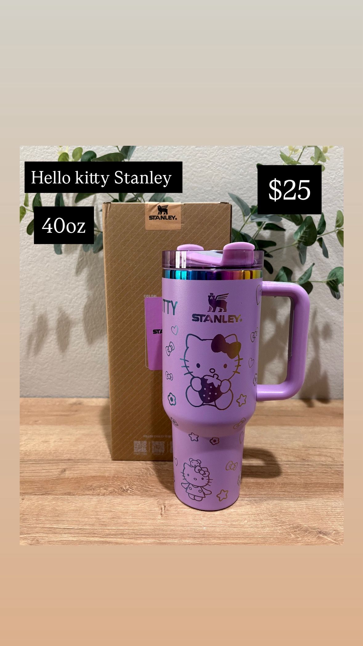 Hello Kitty Stanley