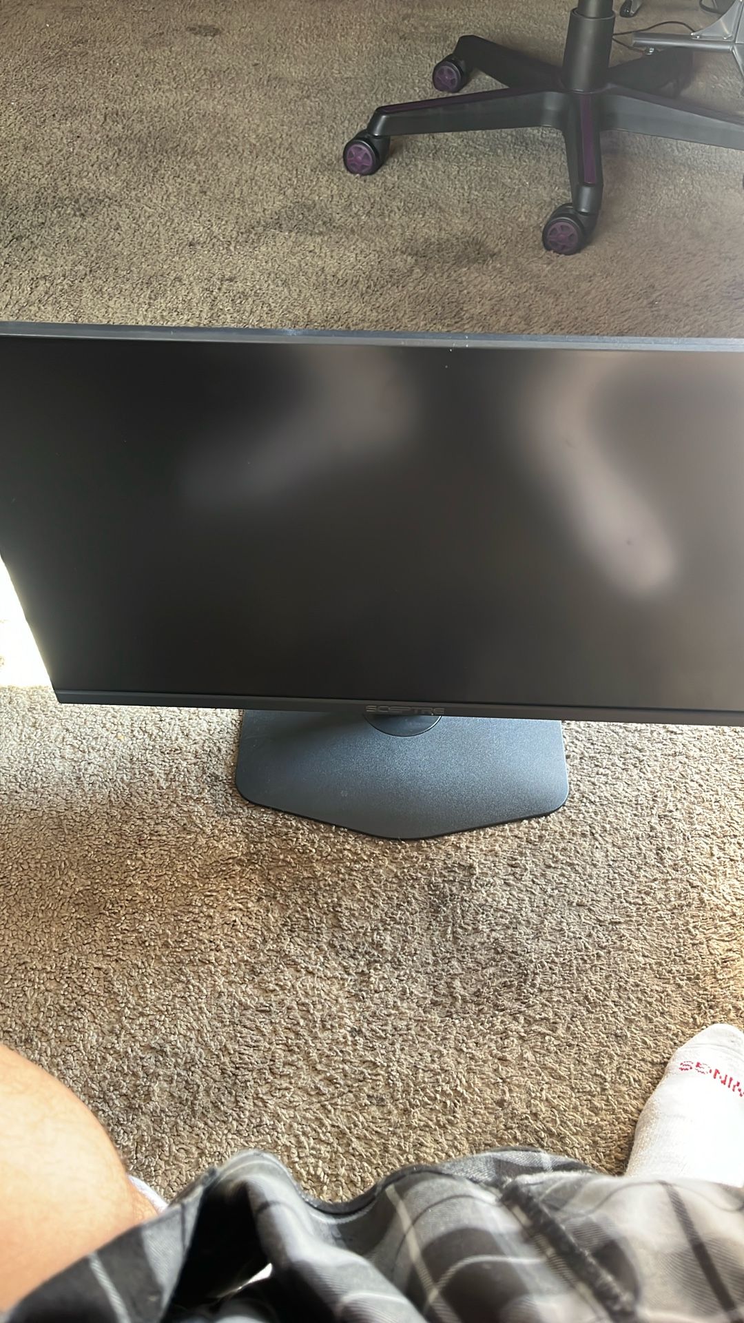 Monitor 