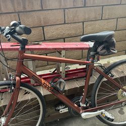 Specialized Globe Mountain Bike Caramel Brown 