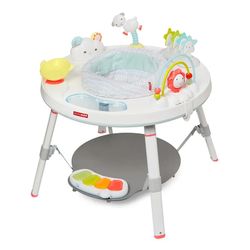 Skip Hop Interactive Baby Activity Center