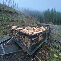 Ready To Burn Firewood 