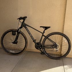 Giant Roam Mountain Bike