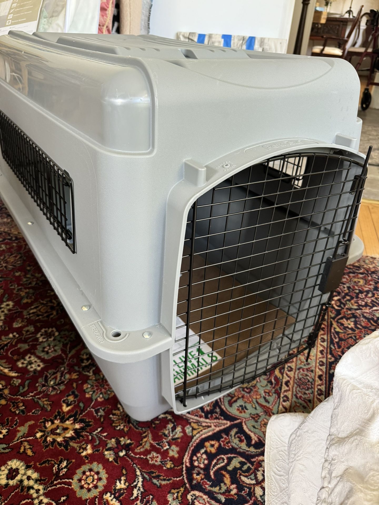 Pet Kennel