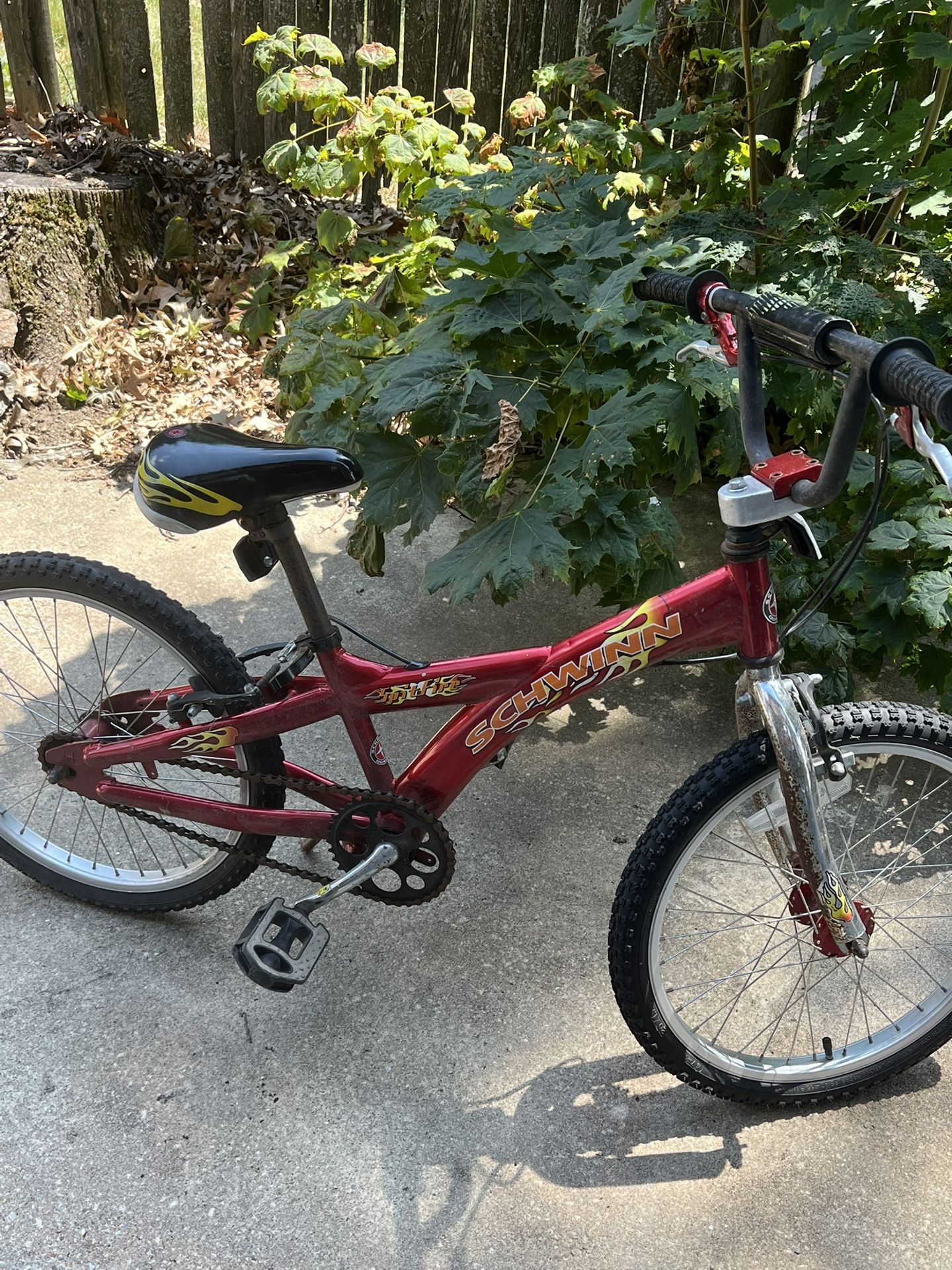 Kids Schwinn Bike 