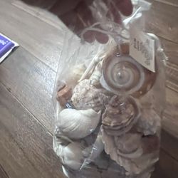 Shells