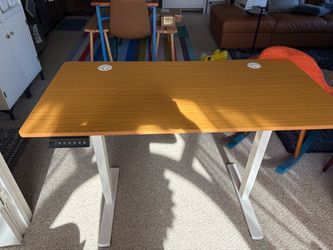 Electric Standing Desk with Wood Top