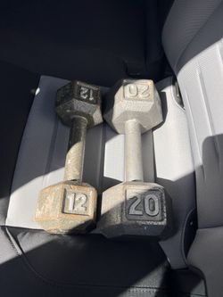 20 Pound Weight / 12 Pound / Back Stretcher