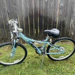 Bicycle 24”