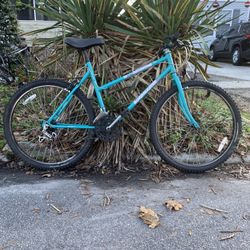 Road Master Bicycle