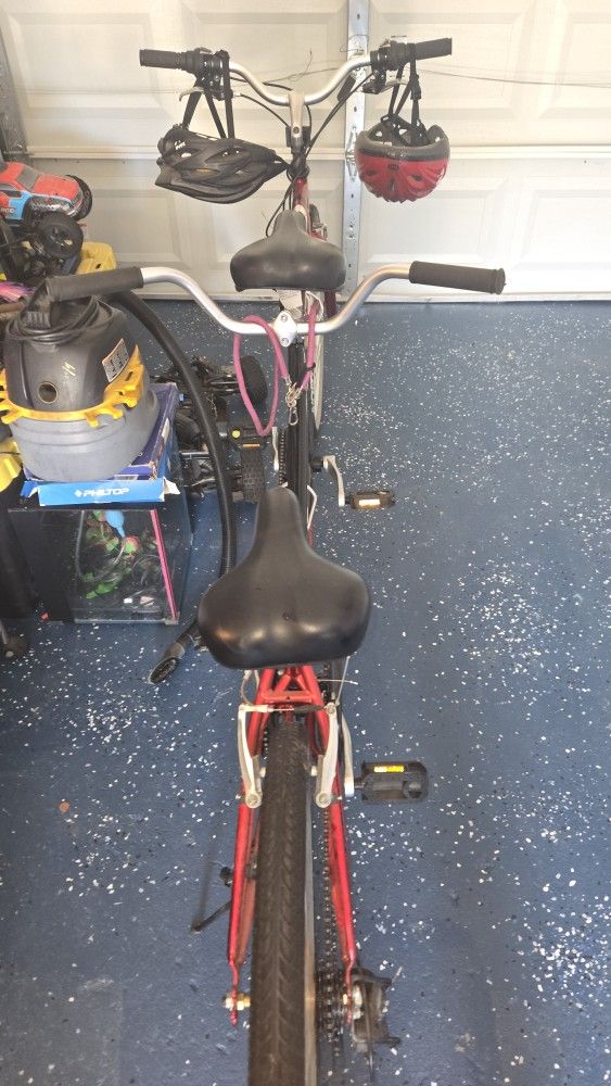 Dual Drive North Wood Bike Paid 260 Asking 150 Like New