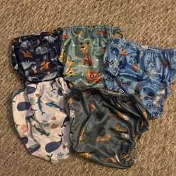 Toddler Potty Training Underwear