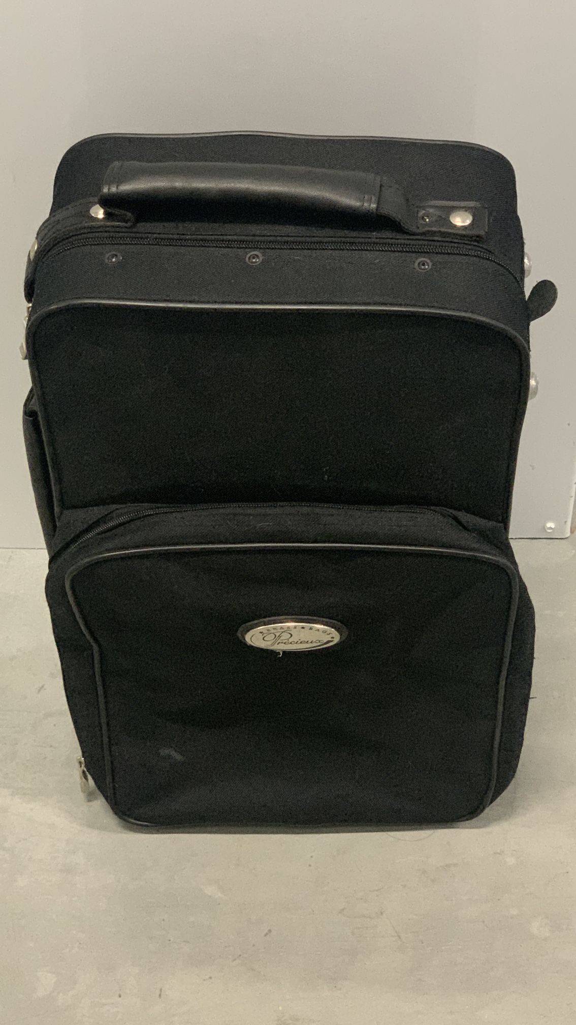 Curved Soprano Saxophone By Precieux Bags