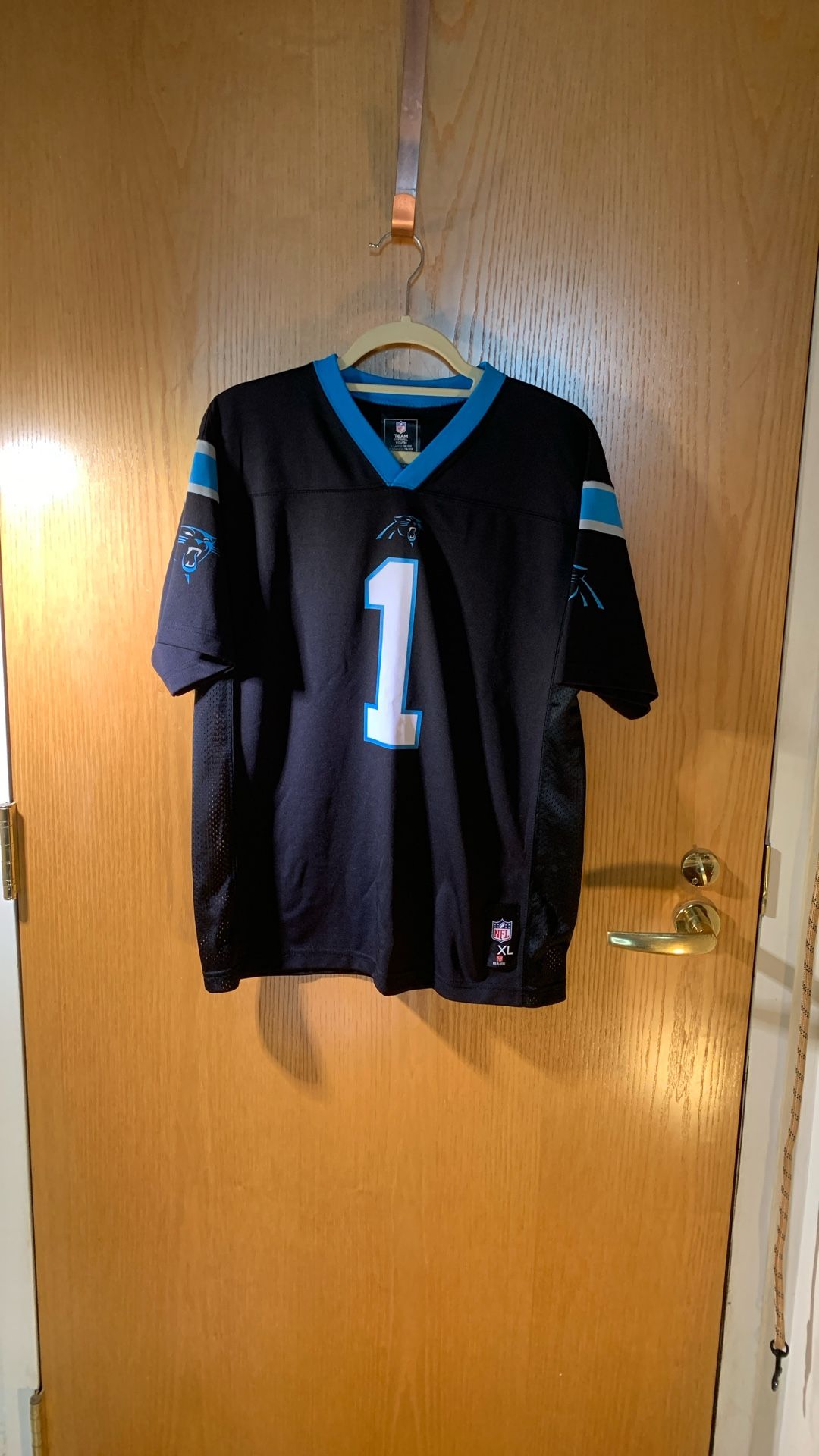Panthers Jersey-Youth-XL (18/20)