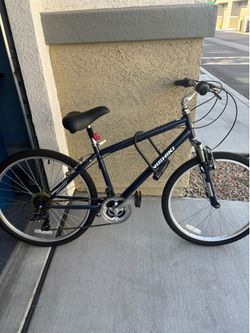 Nishiki mountain bike