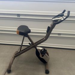 Exerpeutic Gym Exercising Bike 