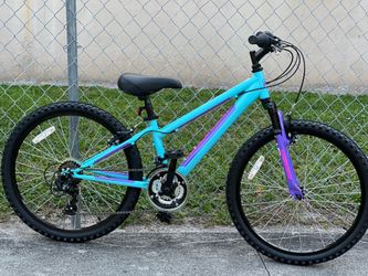 Nishiki Pueblo 24” Kids Bike, the price is FIRM