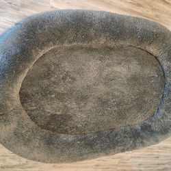 Human sized dog bed