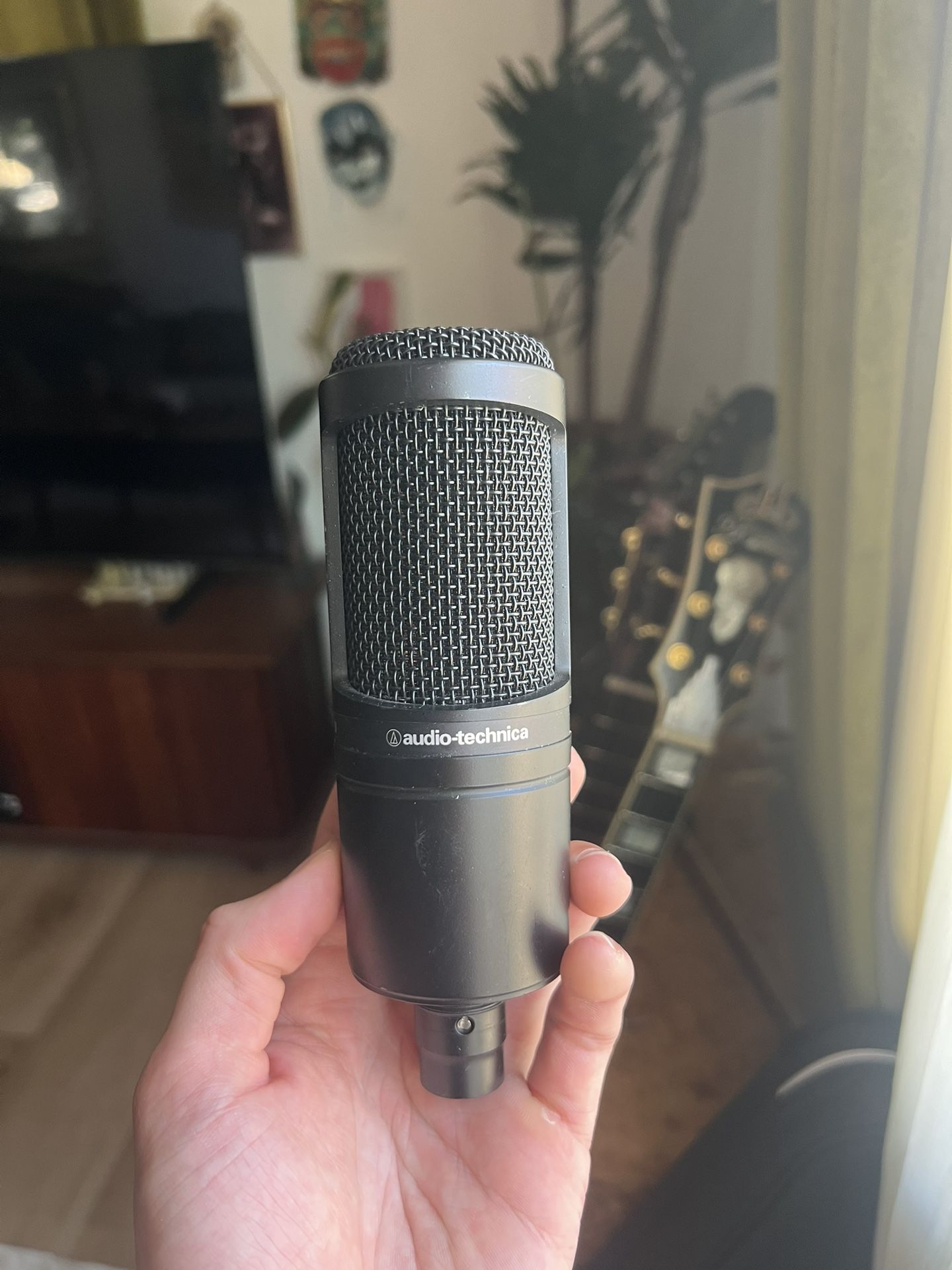Audio Technica AT2020 condenser Mic