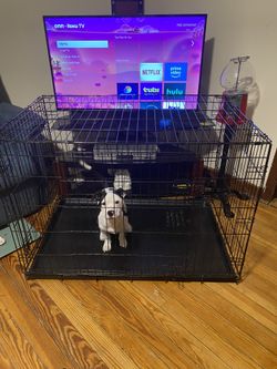 Dog Crate