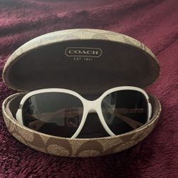 Coach Glasses