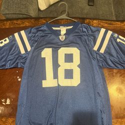 Peyton Manning Colts Jersey (youth XL)