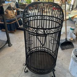 Bird Cage