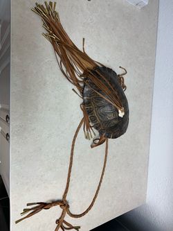Turtle Shell Cargo Bag