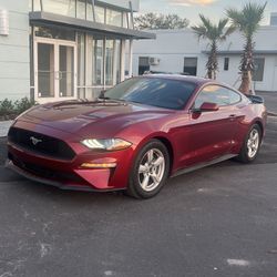 2019 Ford Mustang