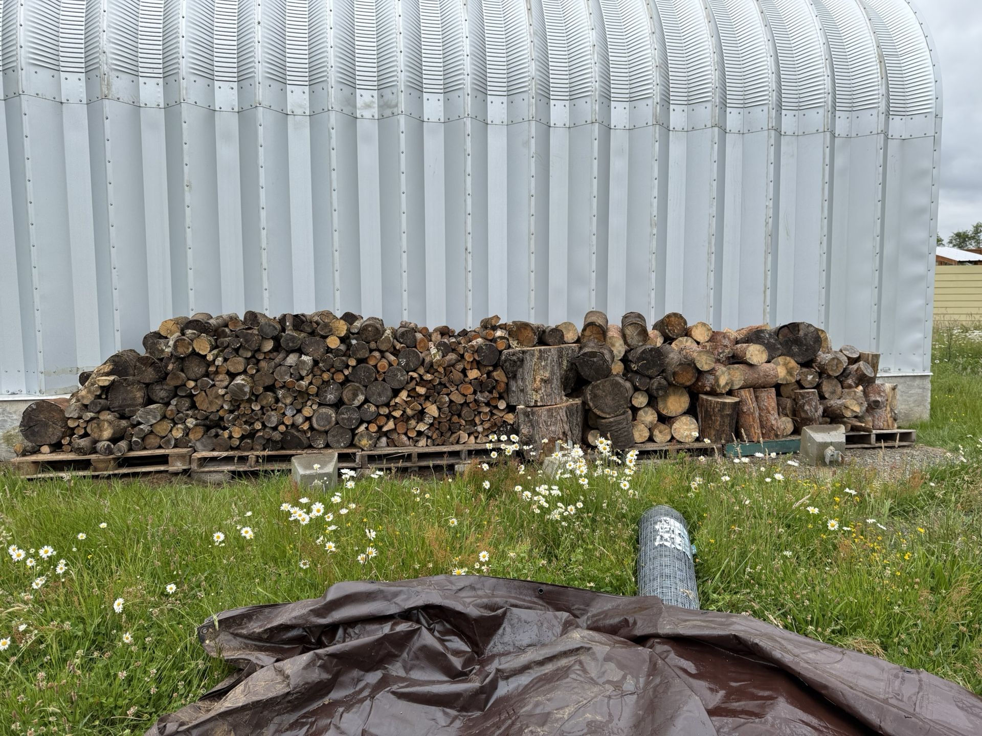 Send me an Offer.Nice And Clean Fire Wood Needs To Go