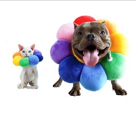 Pet recovery collar