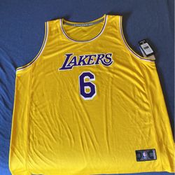 LeBron James Jersey (Brand New)