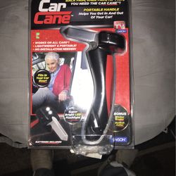 Car Cane